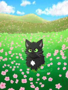 Cat in a field of Flowers