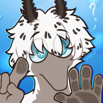 Sea Bunny Worm Sea Bunny Worm