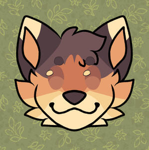 Maple