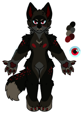 Black wolf adopt